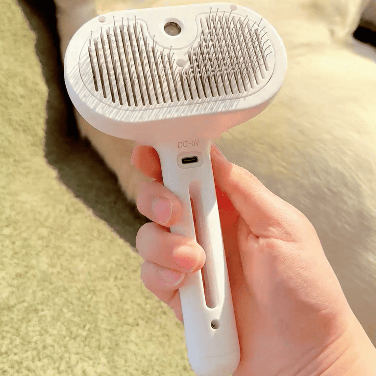 BrushPaw Dampfbürste für Hunde