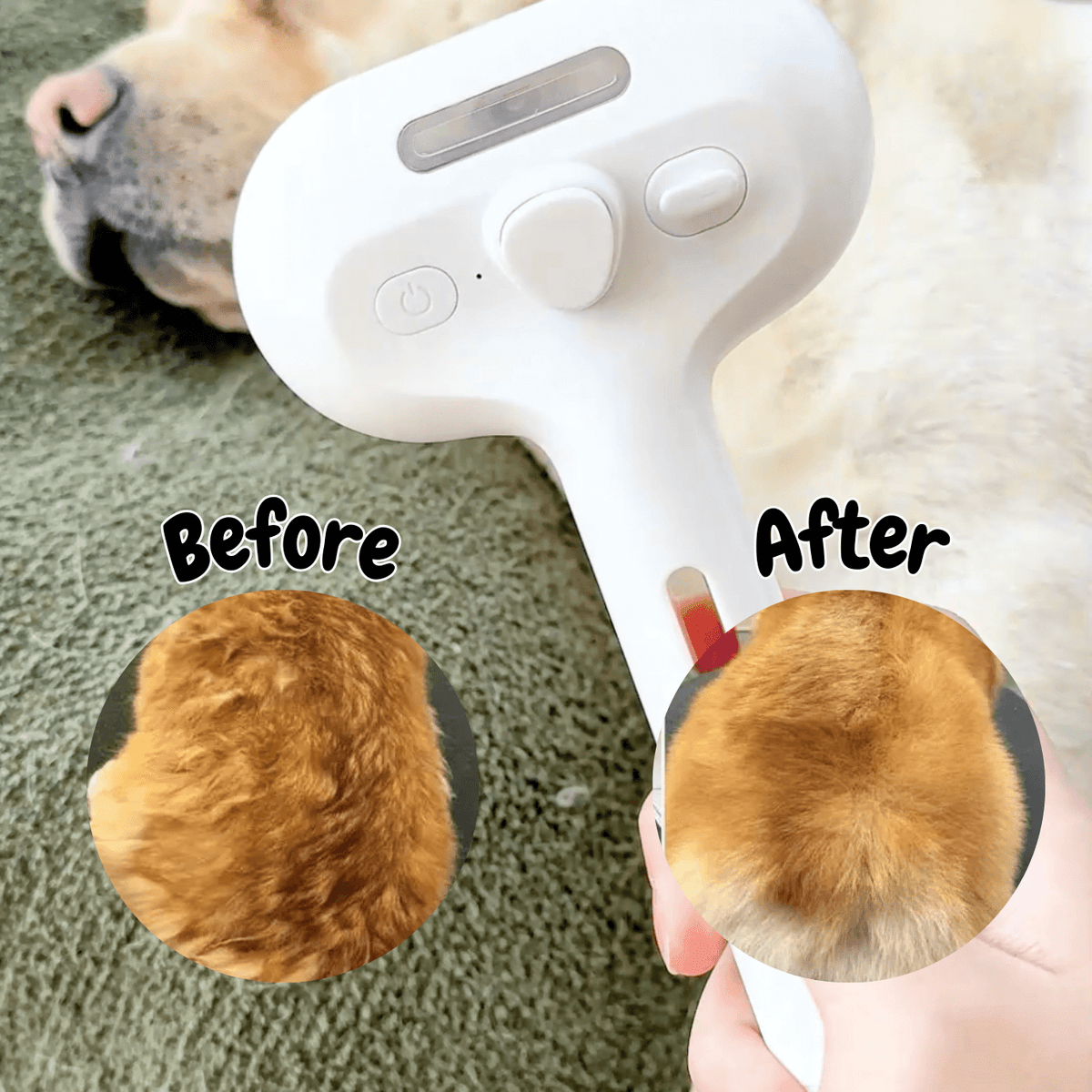 BrushPaw Dampfbürste für Hunde