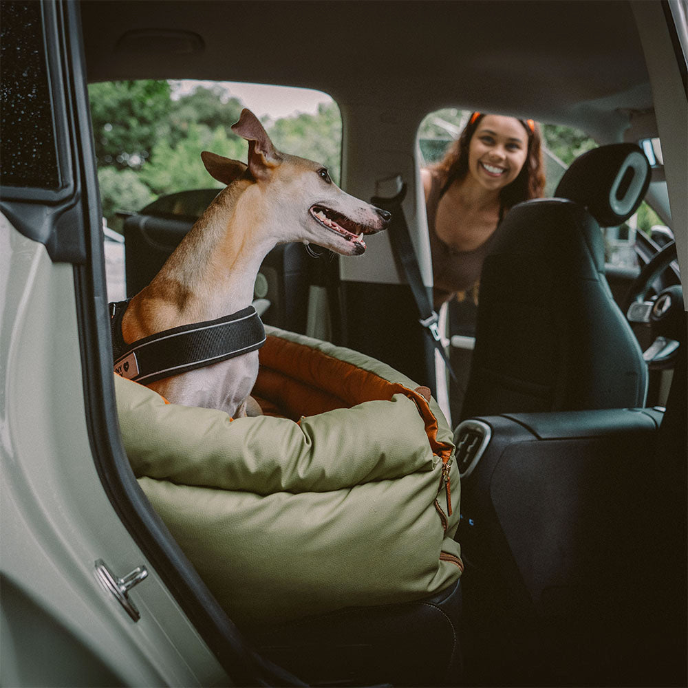 Deluxe Hundesitz fürs Auto - Kunstleder Komfort | Urban Voyager