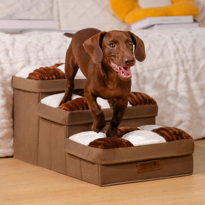 Hundetreppe mit Stauraum - Gelenkschonend | Einfacher Aufbau