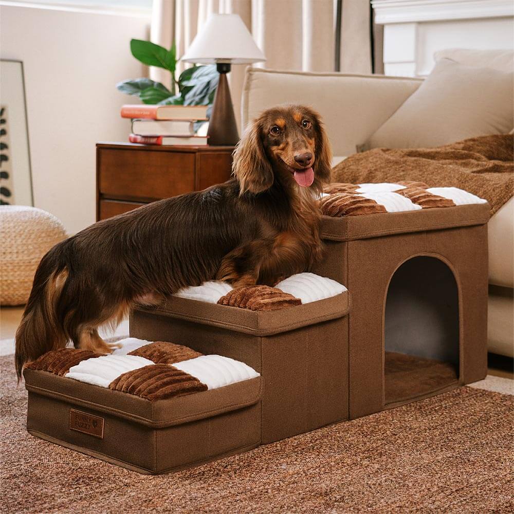 Hundetreppe mit Stauraum - Gelenkschonend | Einfacher Aufbau