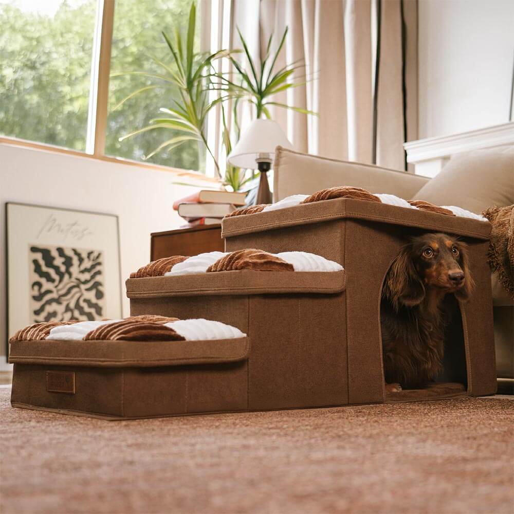 Hundetreppe mit Stauraum - Gelenkschonend | Einfacher Aufbau