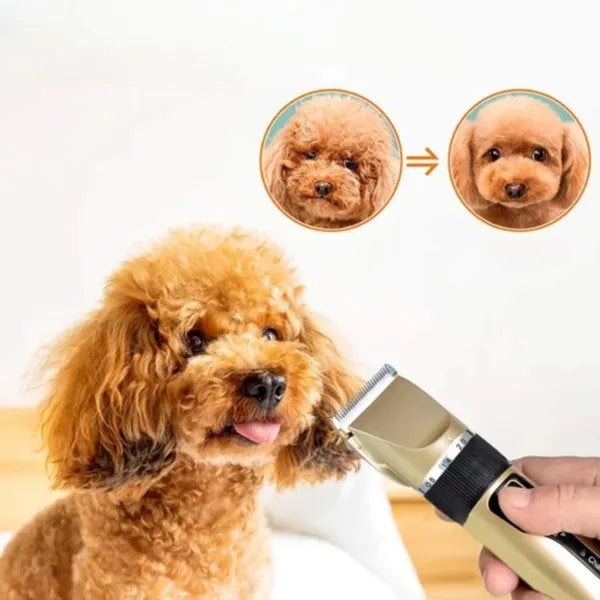 Lautloser Felltrimmer für Hunde – Präzis & Kabellos