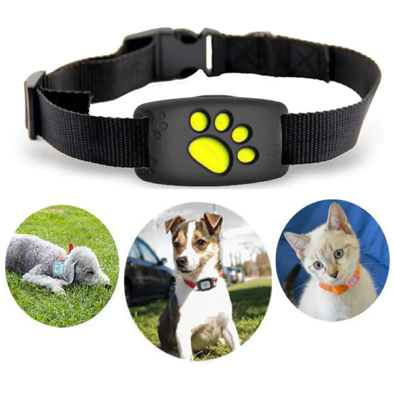 Smart GPS Katzenhalsband | Echtzeit-Tracking & Sicherheit