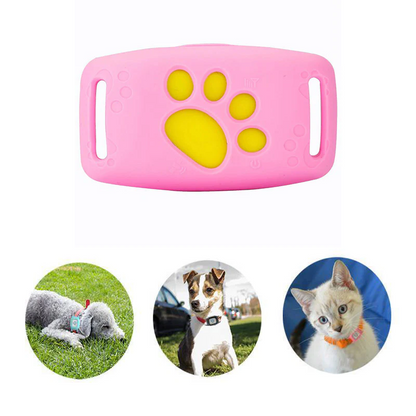 Smart GPS Katzenhalsband | Echtzeit-Tracking & Sicherheit