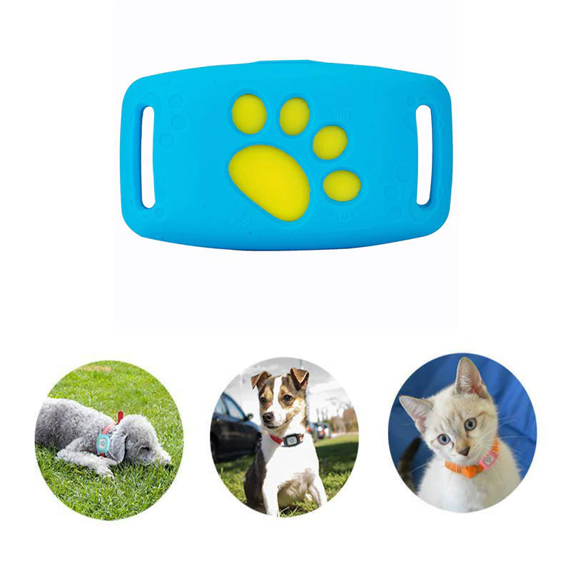 Smart GPS Katzenhalsband | Echtzeit-Tracking & Sicherheit